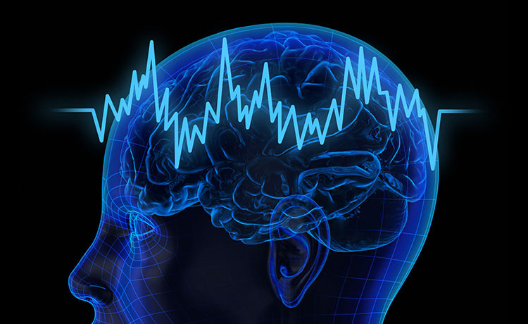 A profile photo of a head with brain showing and brain waves going over top of it. 