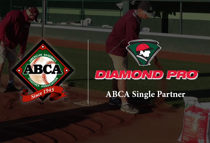 Diamond Pro Logo side-by-side with ABCA logo